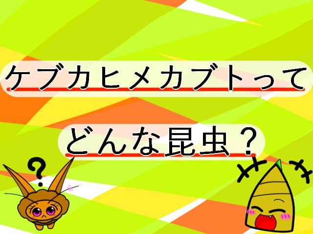 Thumbnail of post image 031